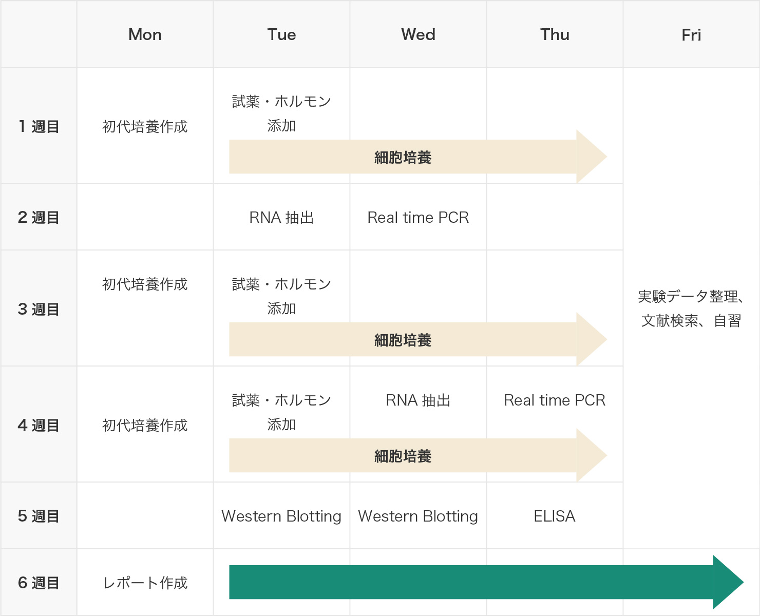 学習Key word